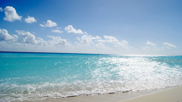 《尚书》取名尽善尽美的女孩名,此《尚书》非礼部尚书!