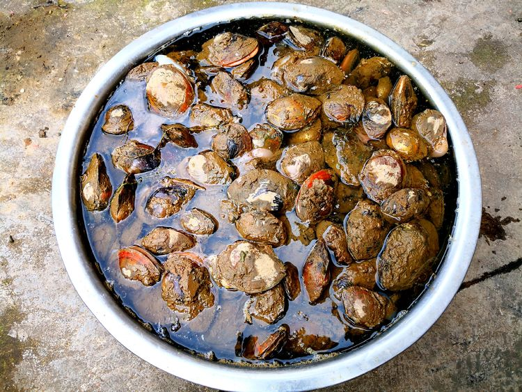 道林古镇美食图片