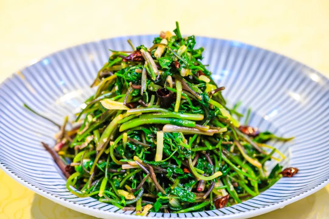 春天的味道|来长白山吃山野菜啦~(山芹菜篇)