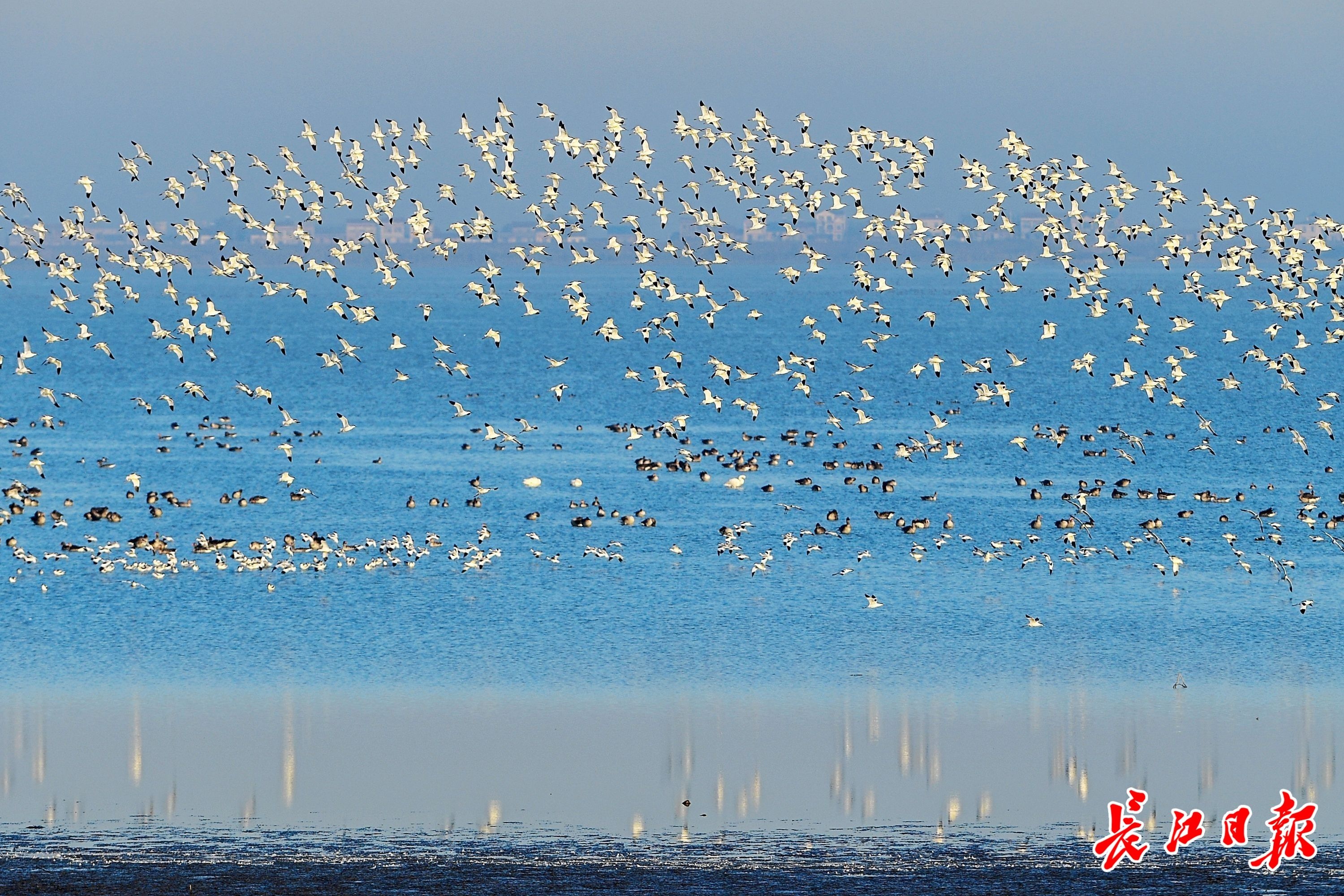 倒计时5天!人民日报整版聚焦武汉cop14