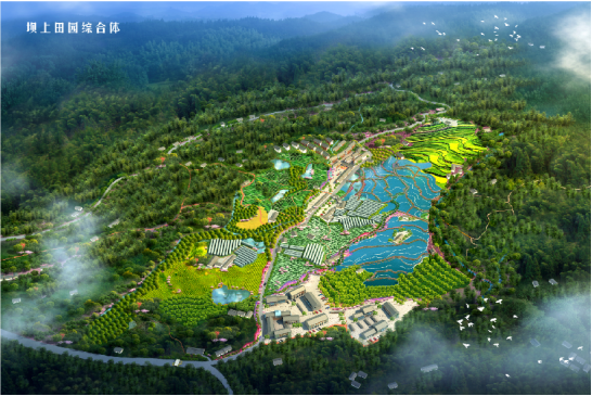 鸟瞰|赤水市长期镇坝上田园综合体