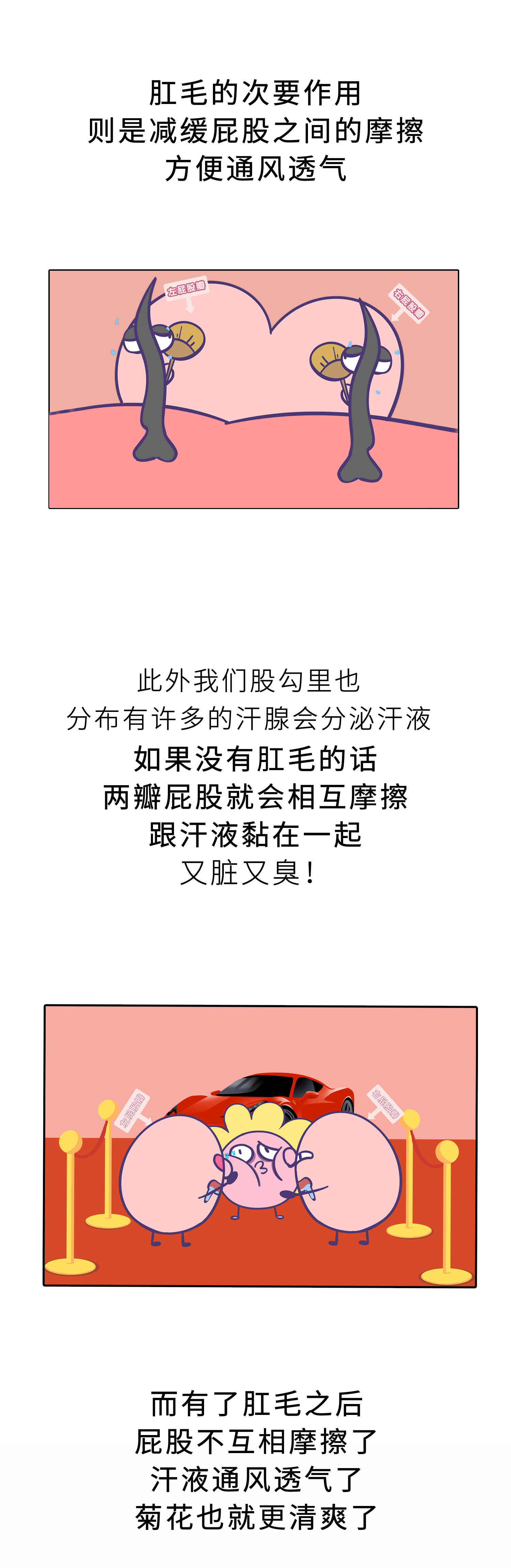 烦人的屁股毛到底有啥用,能不能刮了啊!