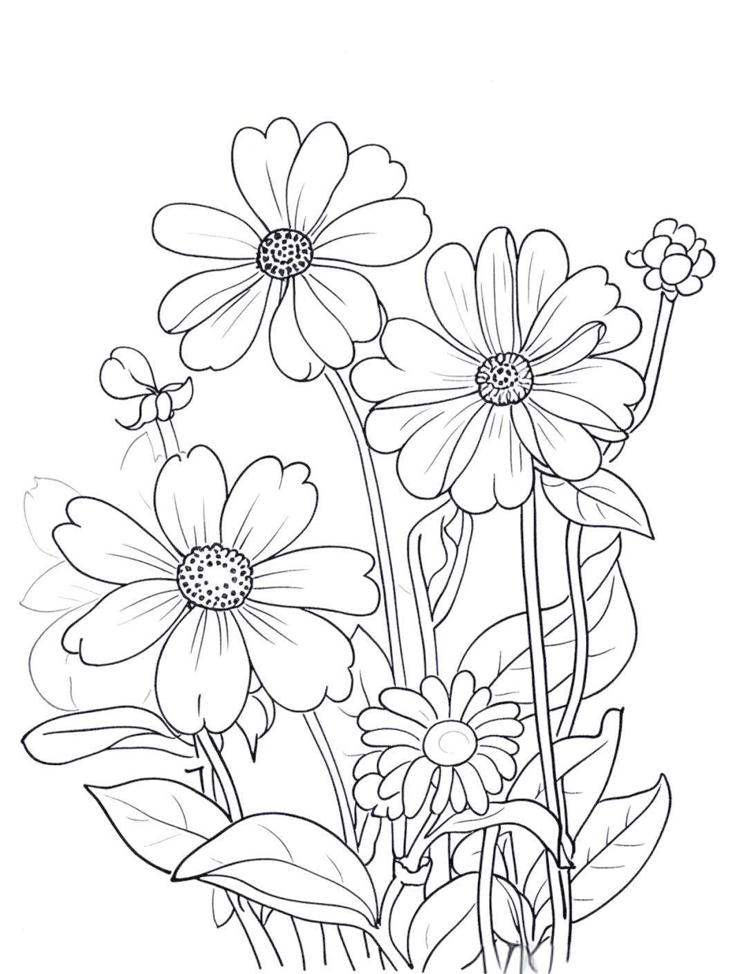 多种花卉黑白线稿简笔画与绘画技巧