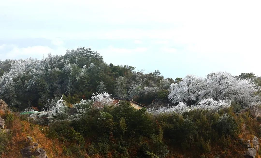 多地冰雪盛景亦如期而至喜歡看雪的朋友速速碼住# 連城縣賴源鄉南天山