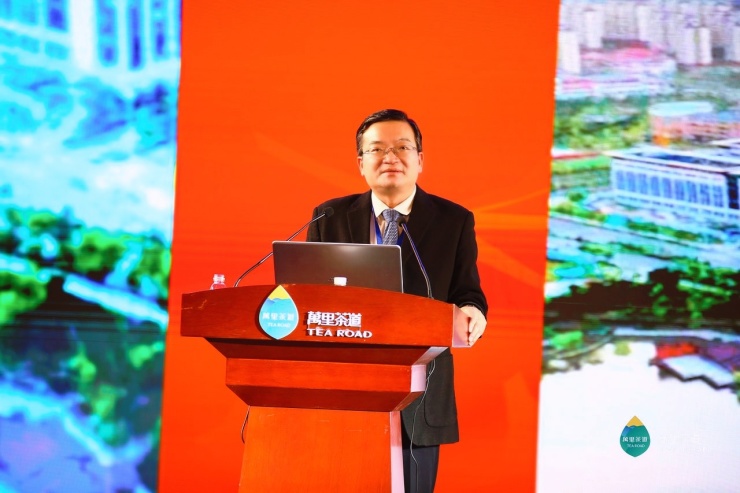 徐春晖:落实"三茶"统筹理念 促进南平市茶产业蓬勃发展