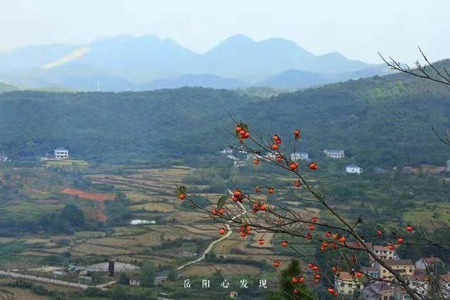 岳阳县麻塘麻布大山图片