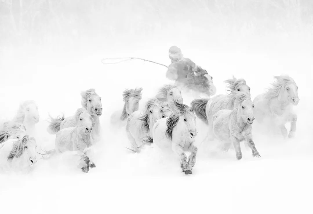 人物 | 2022上海国际摄影节 专访(十八)刘开明