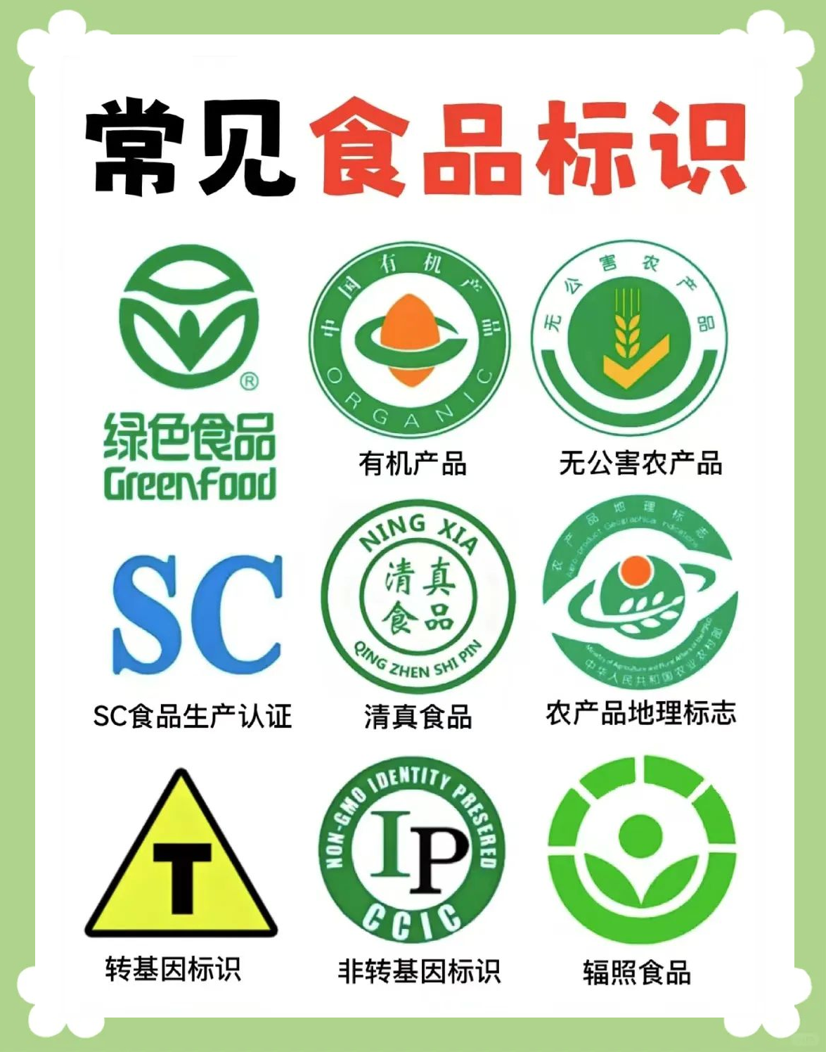 食品安全知识全解析:从定义到应急措施