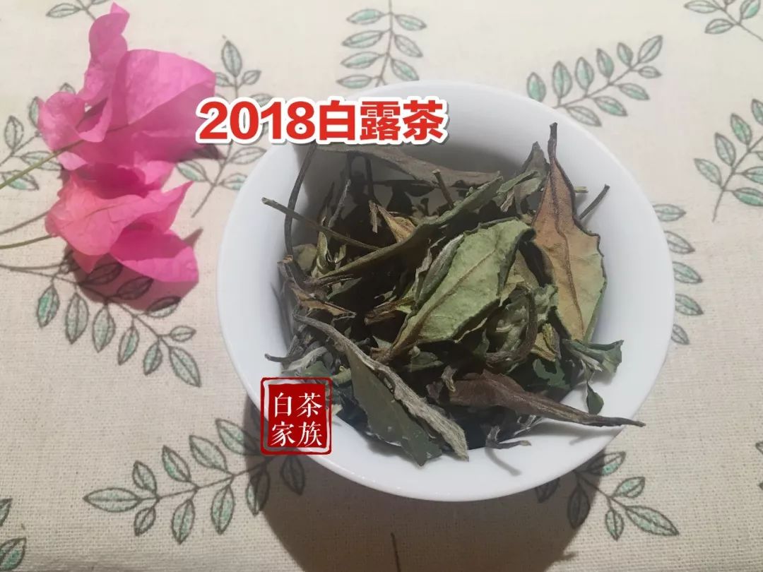 长期收藏秋白茶,选散茶好还是饼茶好?这事儿可马虎不得