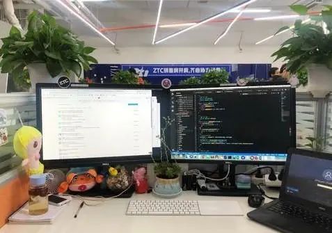 晒一波工程师的工位,你喜欢哪种?