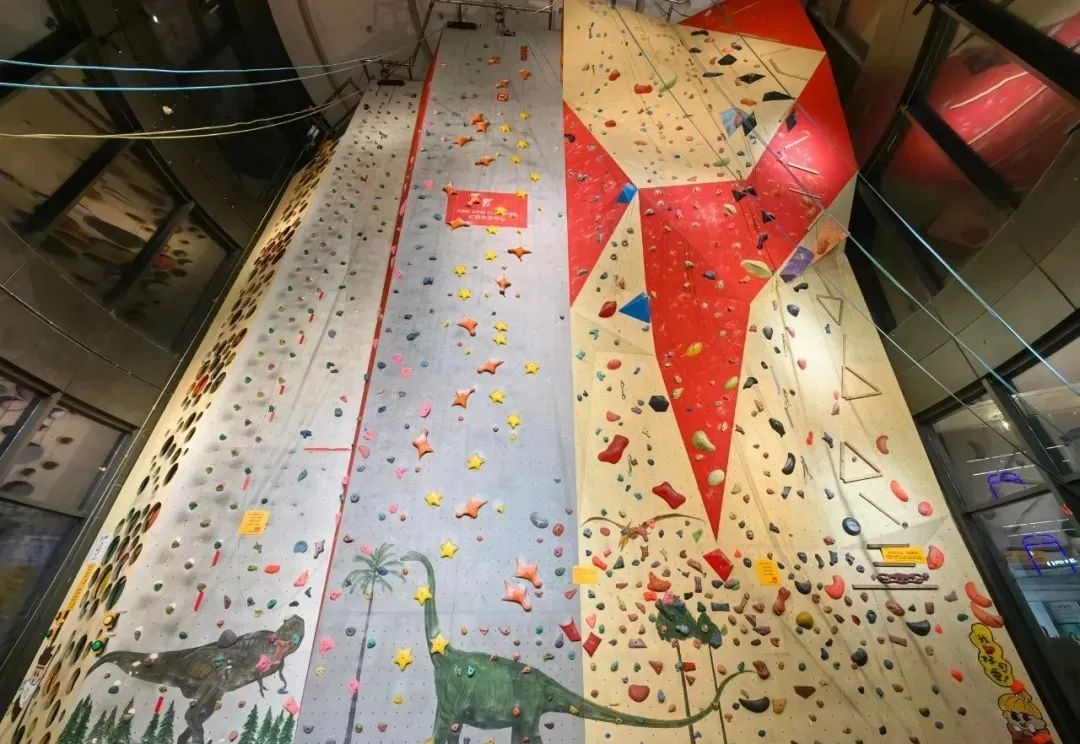 桨板,攀岩,宠物跑……闵行这里选择多到眼花缭乱,总有一项适合你!