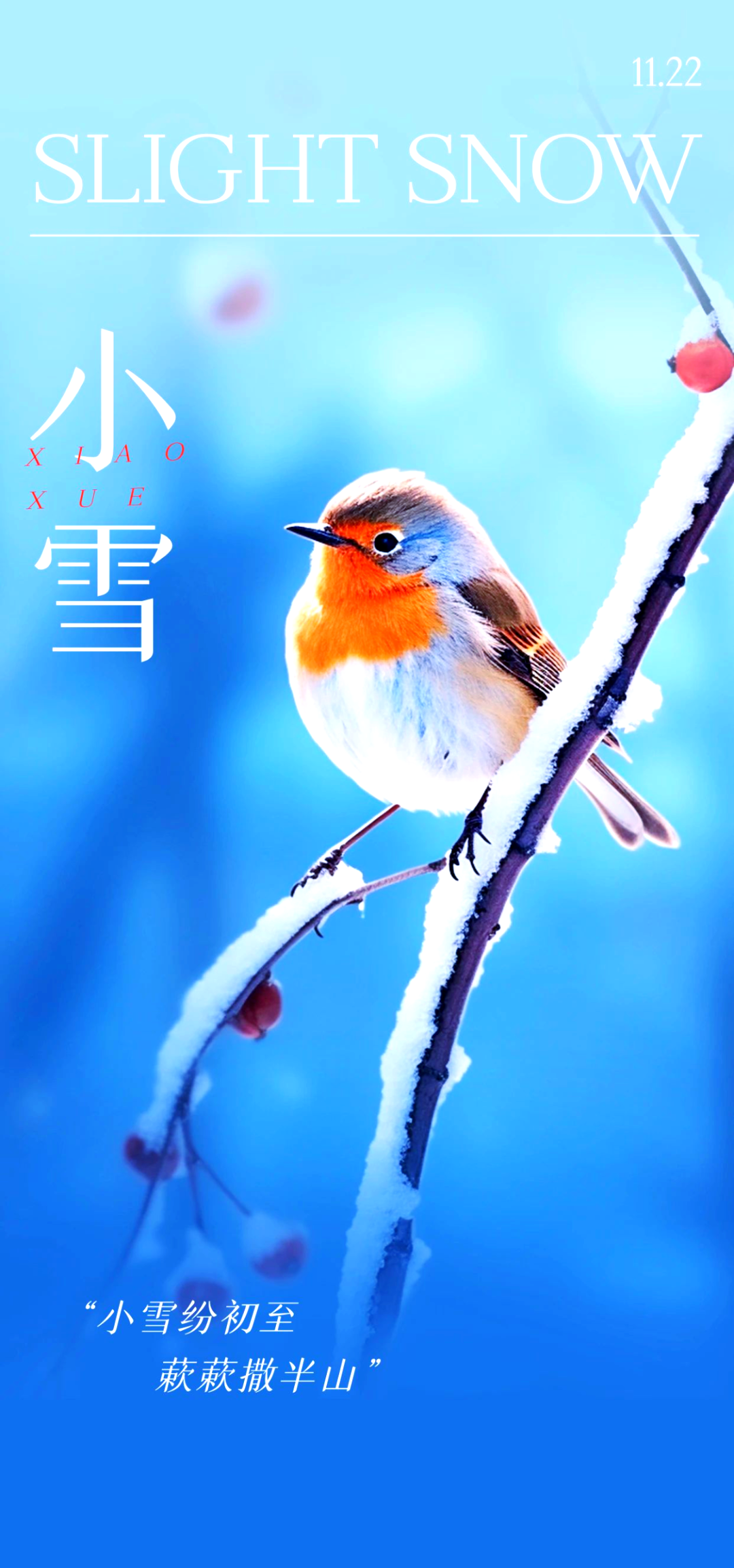 小雪节气,朋友圈文案大赏,唯美祝福与高级感文案一网打尽!