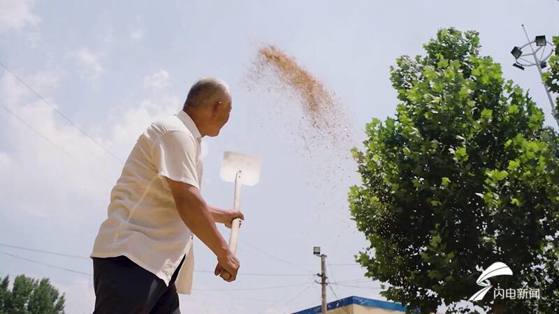 聊城东阿500多个新时代文明实践广场"变身"金色晒粮场