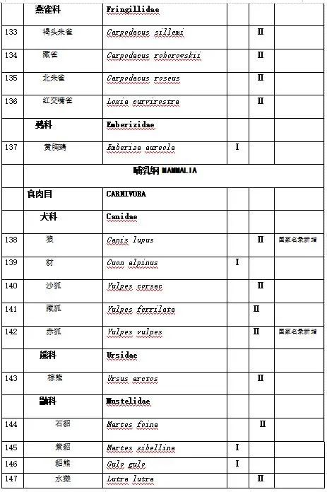 新疆野生动物保护名录图片