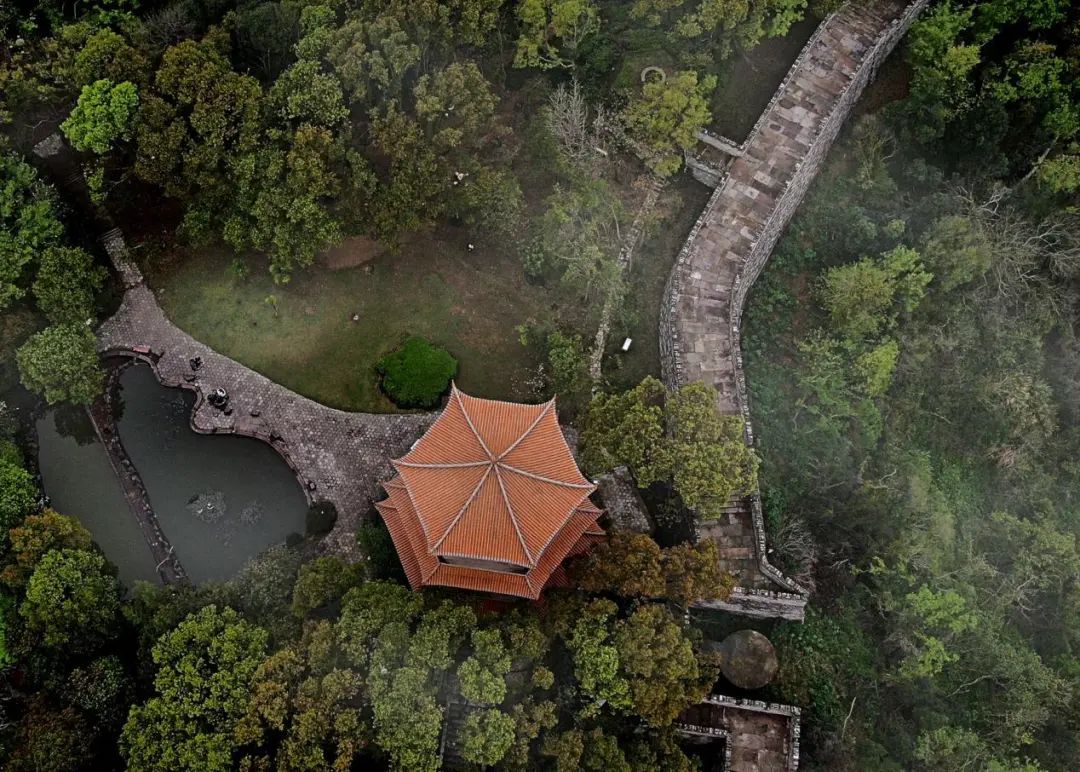 突然什么都不想说 只想赶紧启程 享受那大陈的美食 东山公园