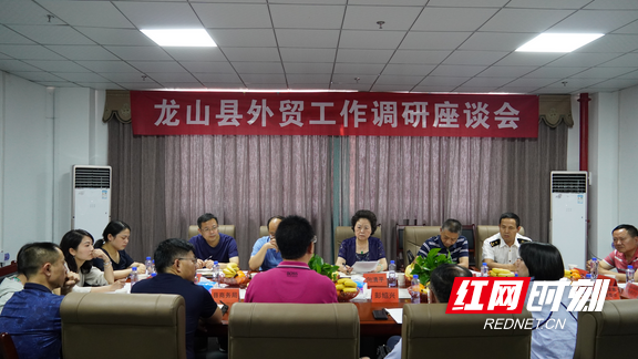向清平到龙山调研对外贸易工作