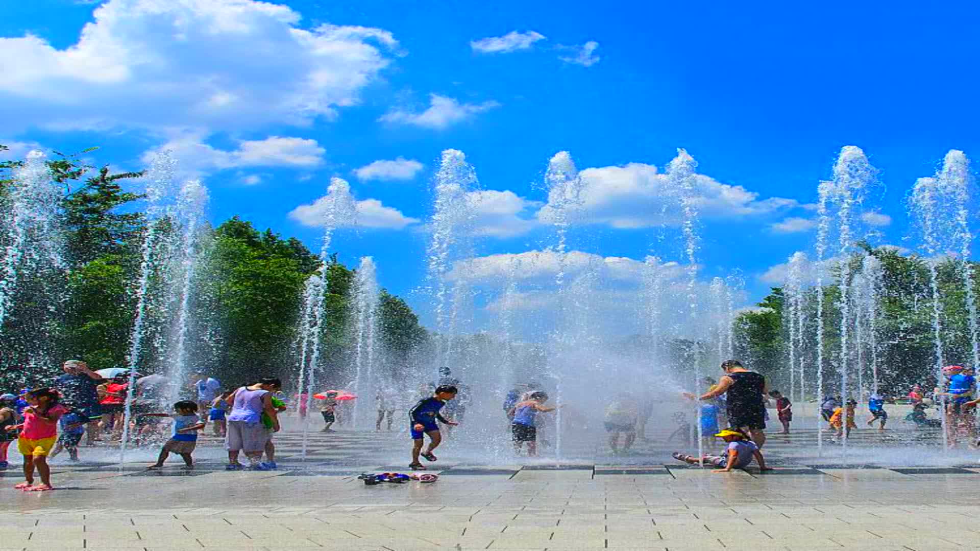 泰安大河湿地公园喷泉图片