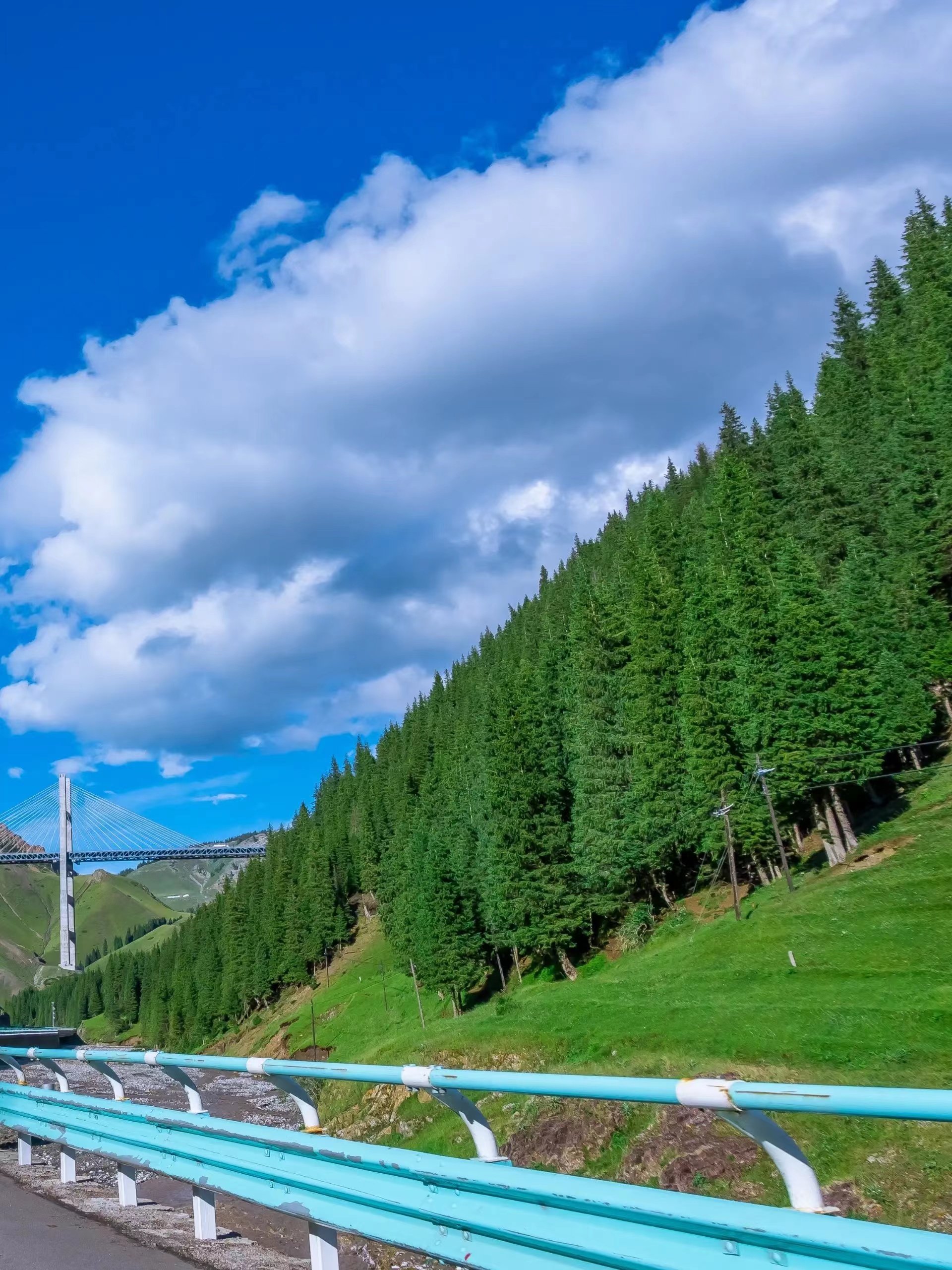 五一劳动节新疆那拉提草原旅游攻略