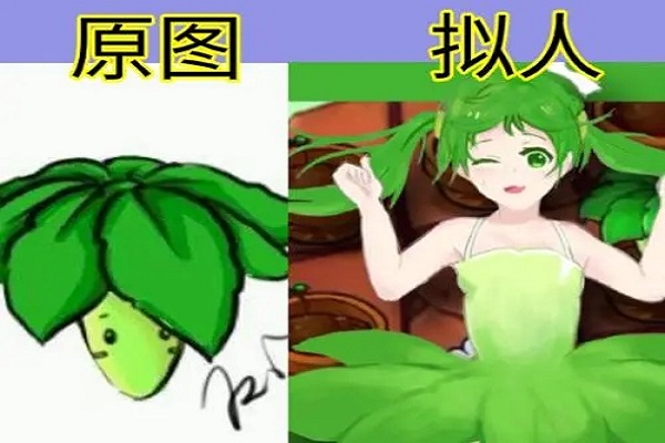 叶子保护伞保护范围