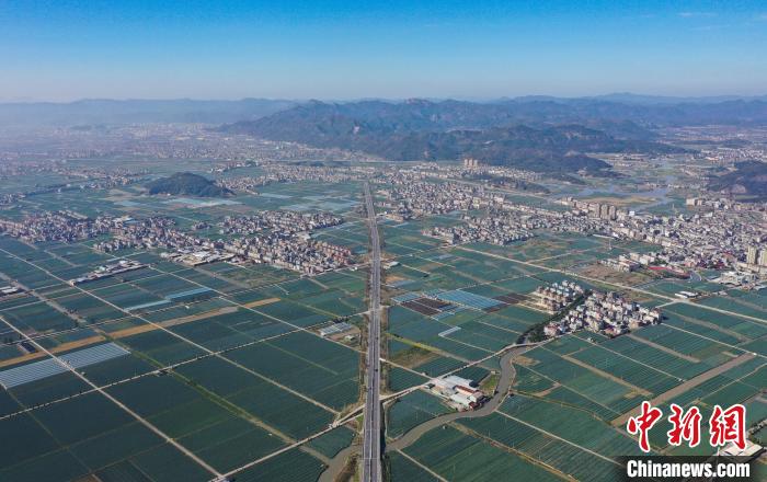 探访"西兰花之乡"浙江上盘镇 万亩田地培育亿元产业