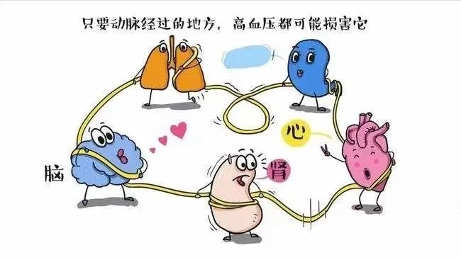 当心原发性醛固酮增多症!早发现早治疗,这是可能被"治愈"的高血压