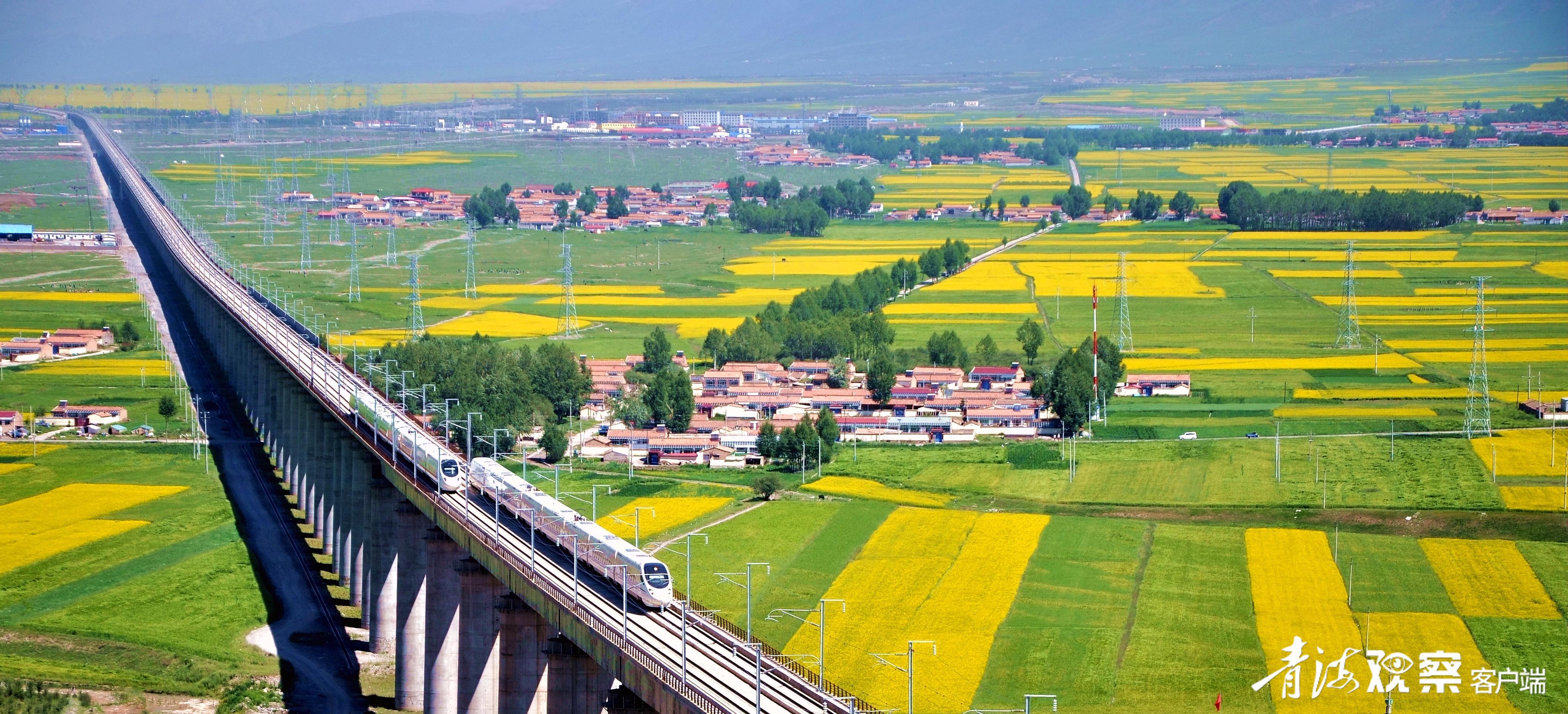 走!坐着动车去浪门源