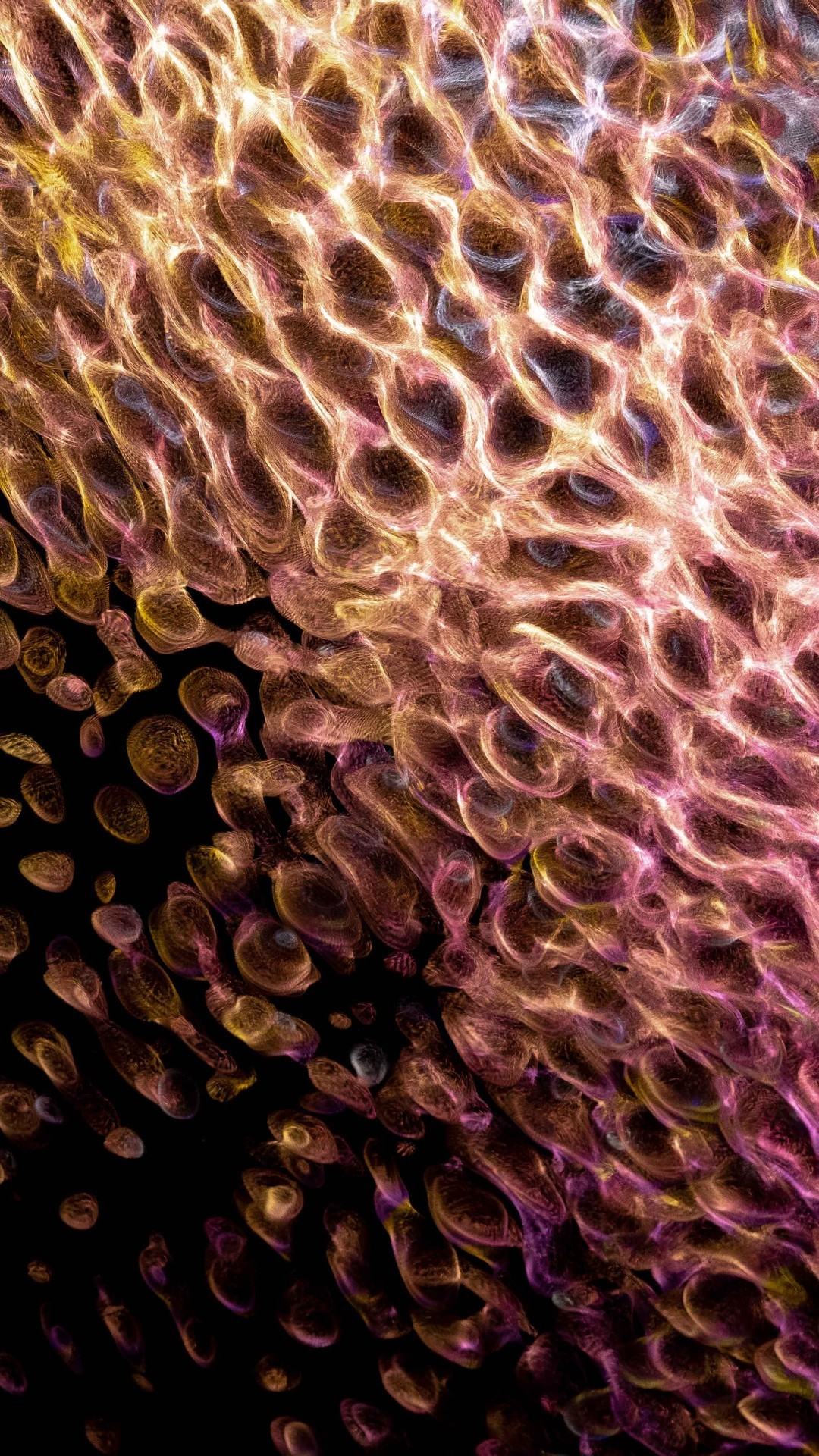 背景壁纸|炫彩抽象背景图片壁纸