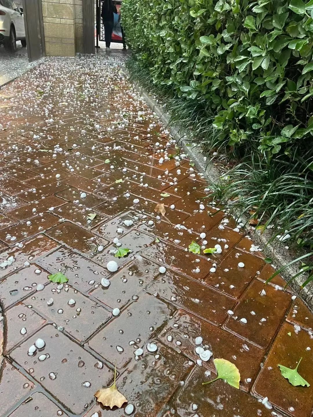 下冰雹真实图片