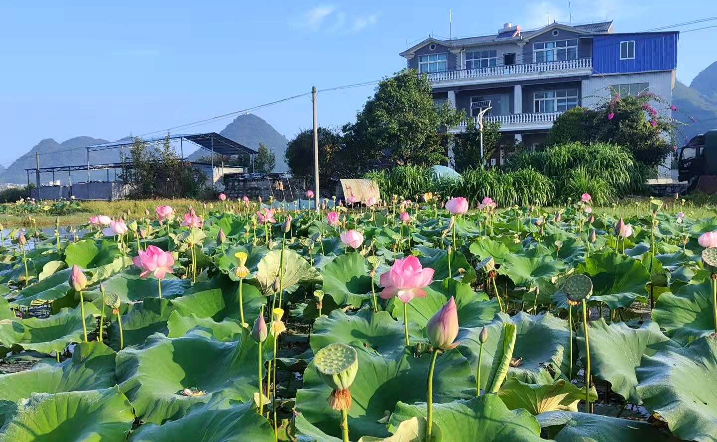 貴州安龍招堤是個晨跑的好地方