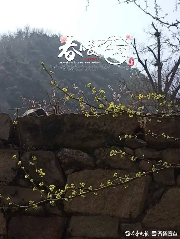 韩庆云|浅悟绝句