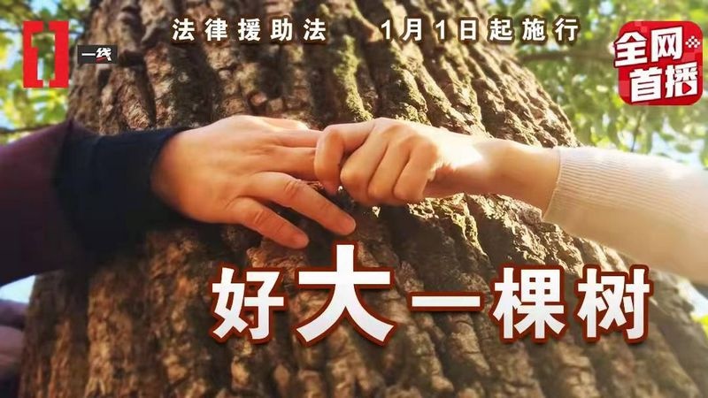 央视《一线》栏目关注扬中法律援助"负面清单"试点建设(图)