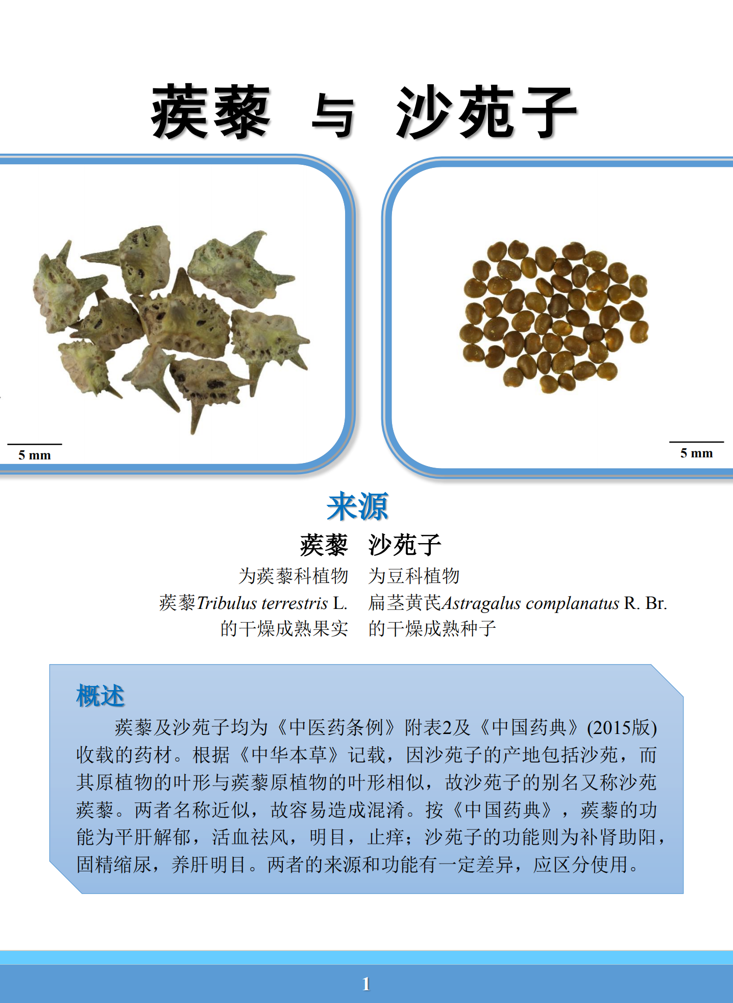 沙蒺藜与刺蒺藜的图片图片