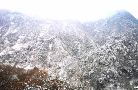 四川米仓山自然保护区雪景美如画