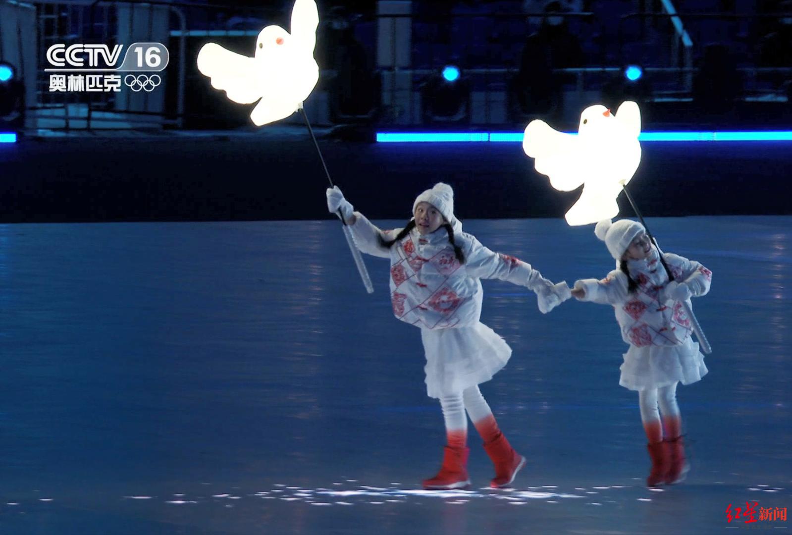 冬奥会和平鸽表演图片
