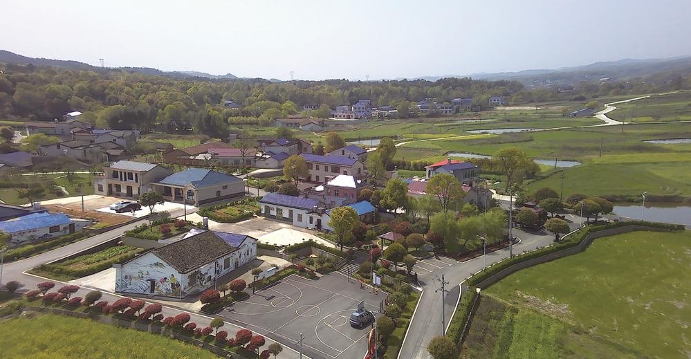 宁乡:从陈家桥村的蝶变看基层治理第一线的政协效能