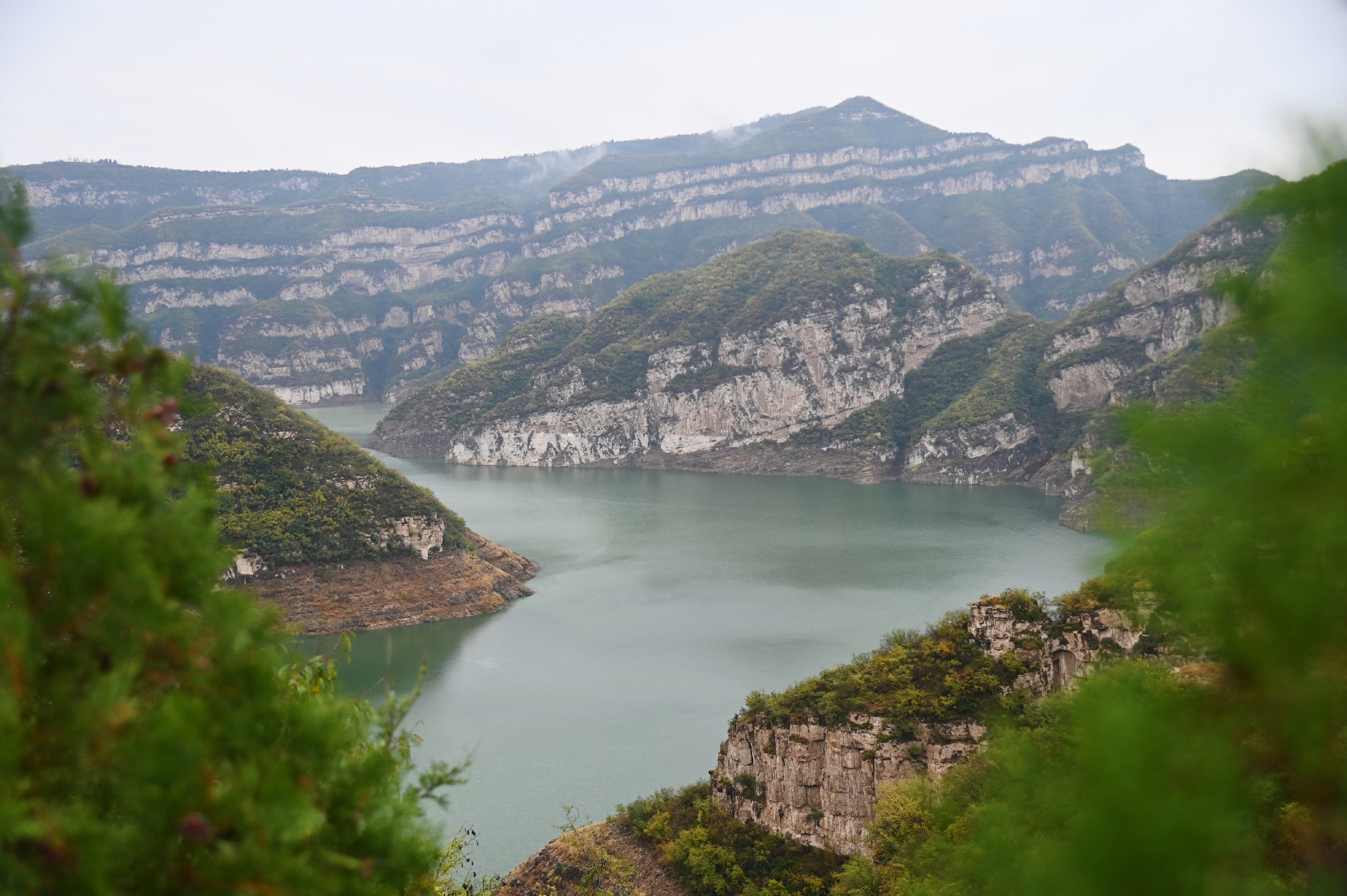 济源坡头黄河湿地公园图片