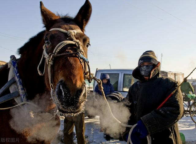 游猎民族融入农耕民族这是人类文明史也是中华文明起源史