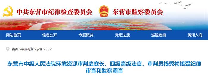 东营市中级人民法院环境资源审判庭庭长,四级高级法官,审判员杨秀梅