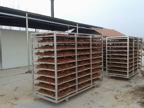 大型丹参烘干机 网带式丹参专用烘干设备