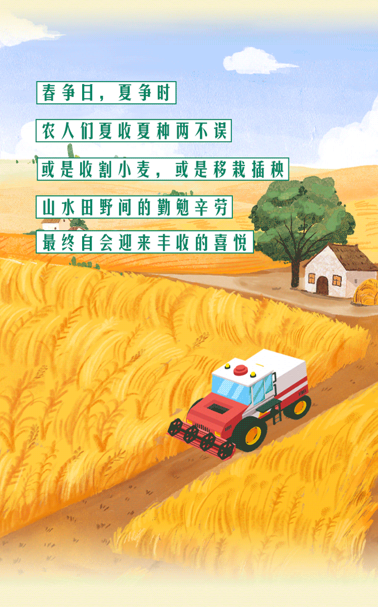 今日立夏丨春意藏,夏初长