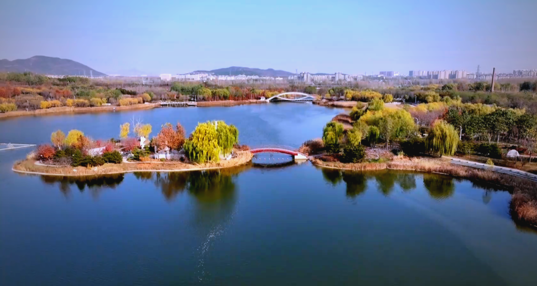 龙泉湖公园初冬美景,邂逅浪漫时刻