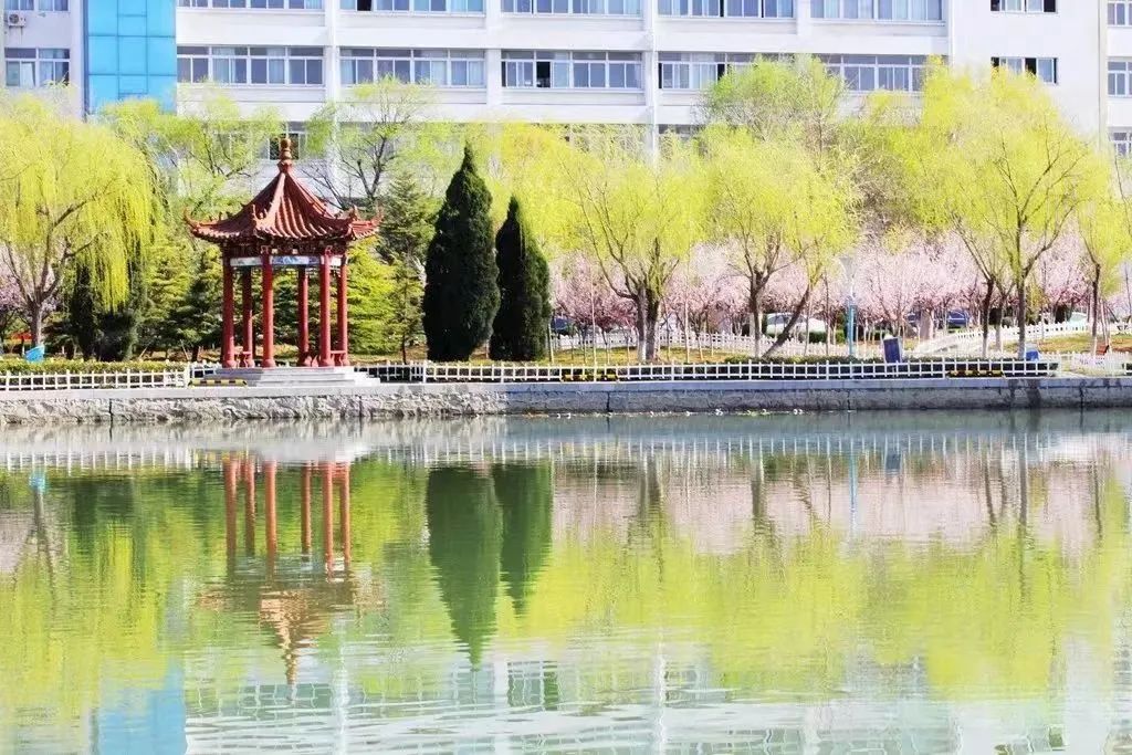 全国双高校诚聘高层次人才12人烟台职业学院期待您的加入