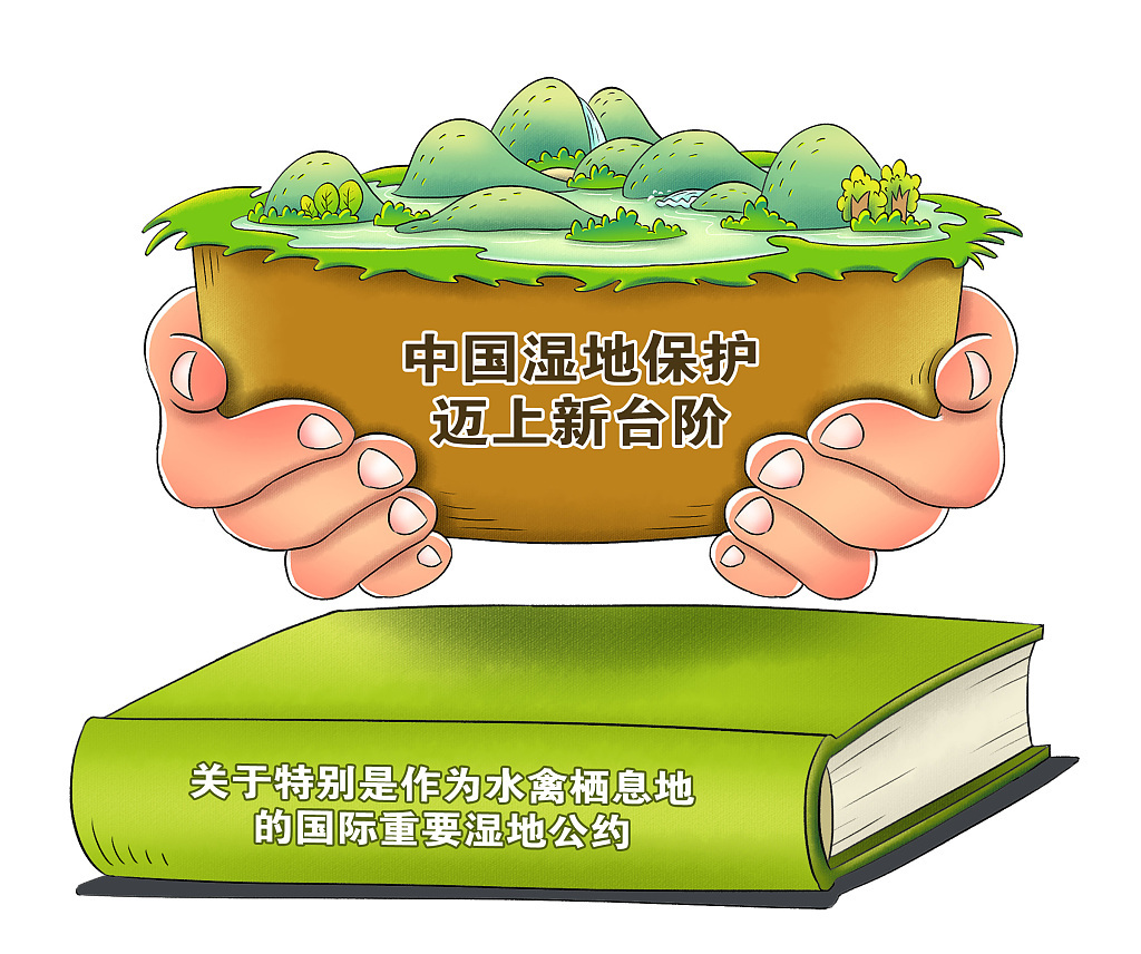 总台记者看世界丨在日内瓦分会场感受cop14中国力