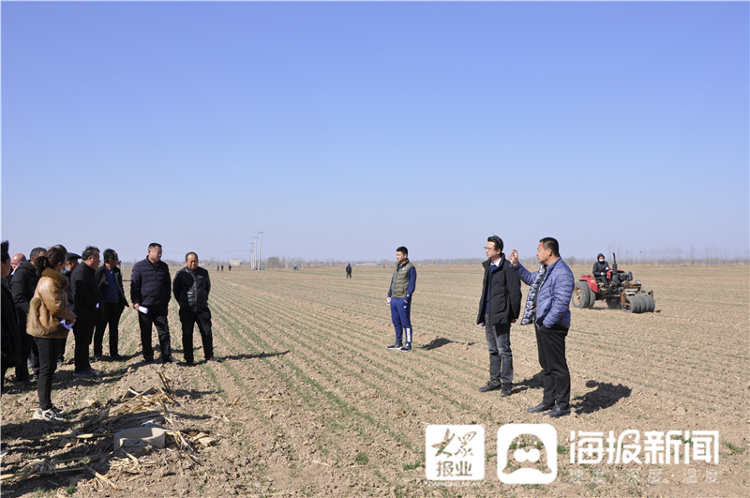 聊城市茌平区菜屯镇:小麦镇压促增产 科技壮苗保丰收