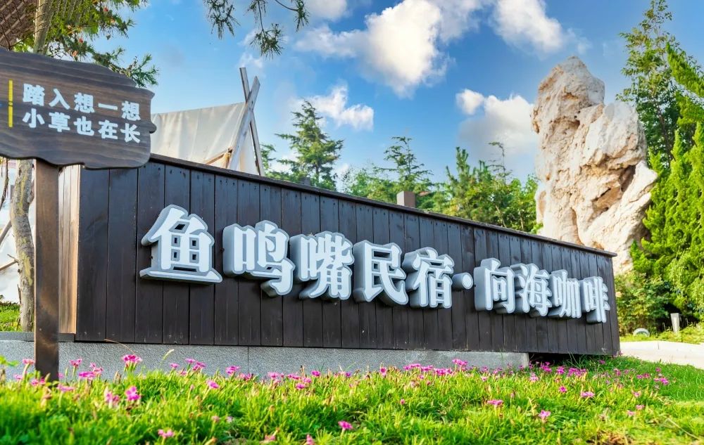 青岛·民宿|「鱼鸣嘴民宿·向海咖啡」来有海边花海之称的连三岛路