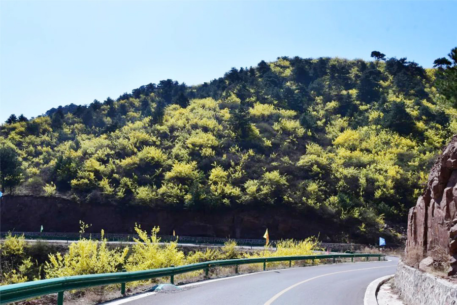 长子发鸠山图片美景图片