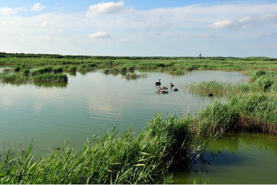 沧州渤海新区黄骅市南大港产业园区推进水生态文明建设