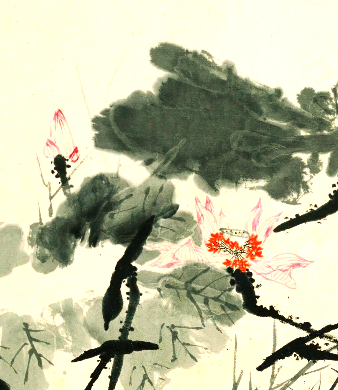 潘天寿的荷花作品欣赏:风华正茂,笔触细腻