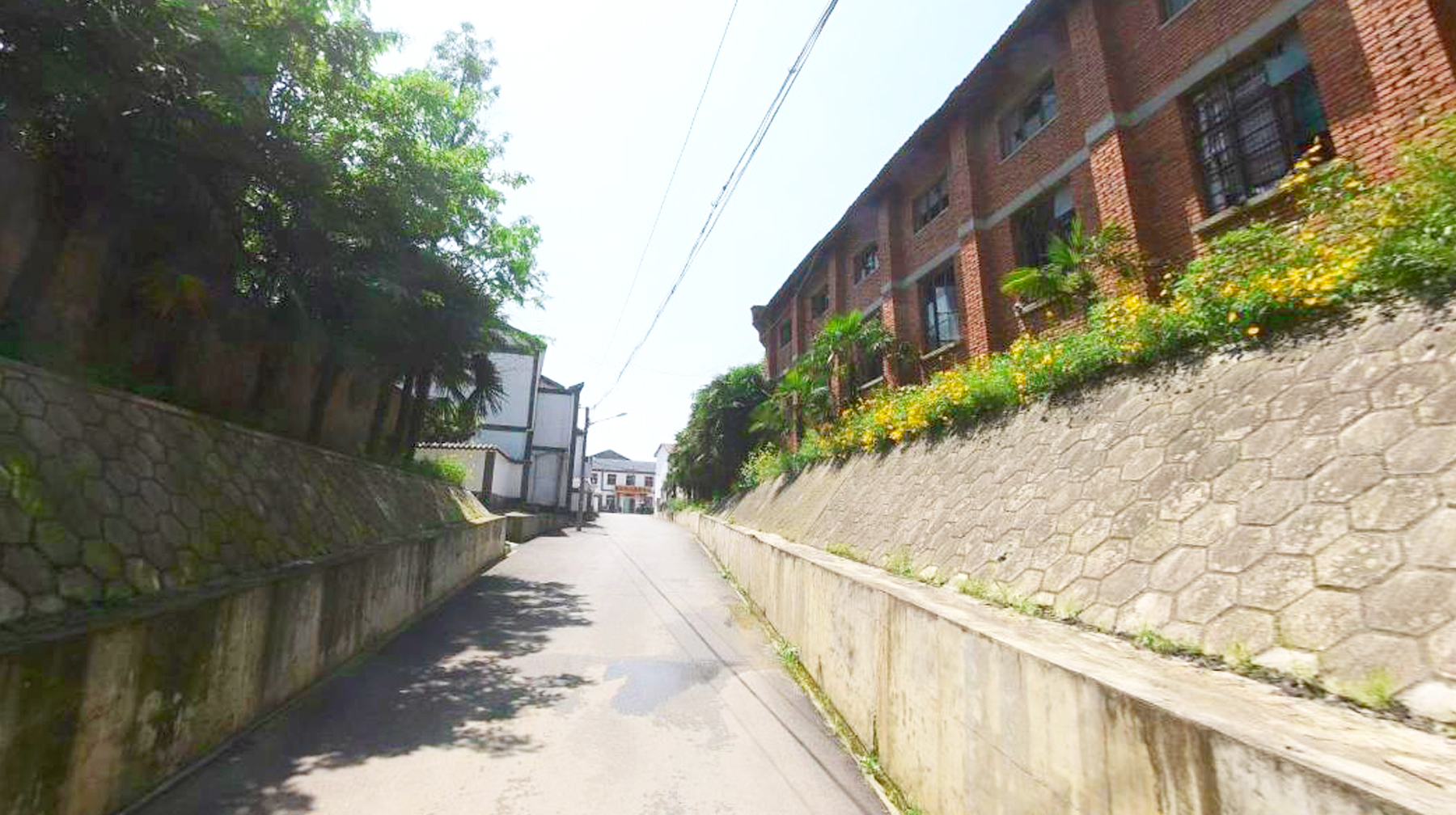 走进武汉郊区一座湖滨新村,宽阔乡道四通八达,遍布古典风格民房