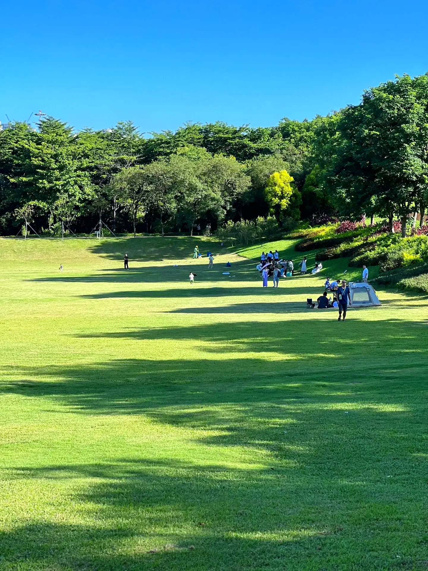 高颜值"无边草原" . 深圳大沙河公园